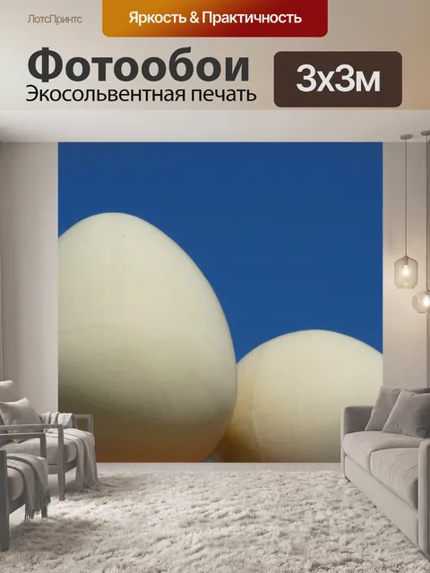 Фотообои Яйцо