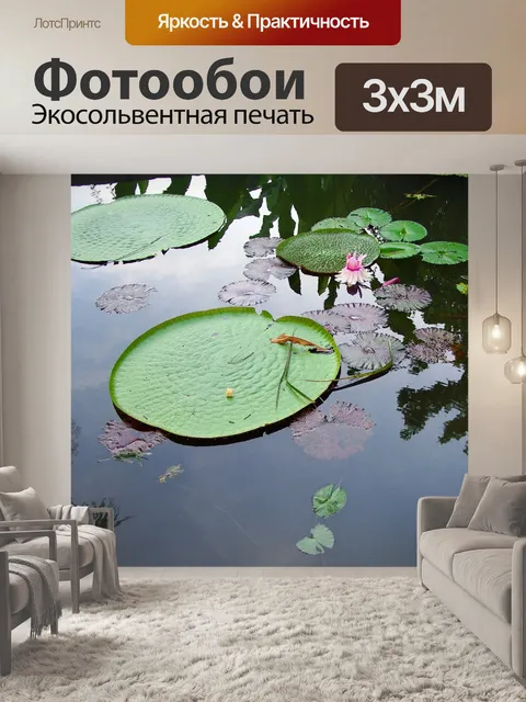 Фотообои Шри-ланка