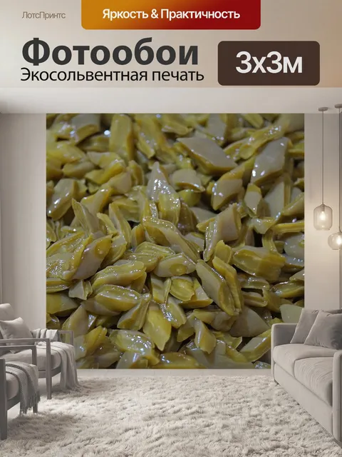 Фотообои Кактус
