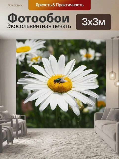 Фотообои Белые ромашки