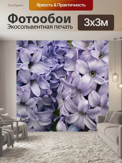 Фотообои Фиолетовый