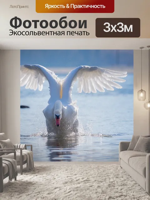 Фотообои Лебедь