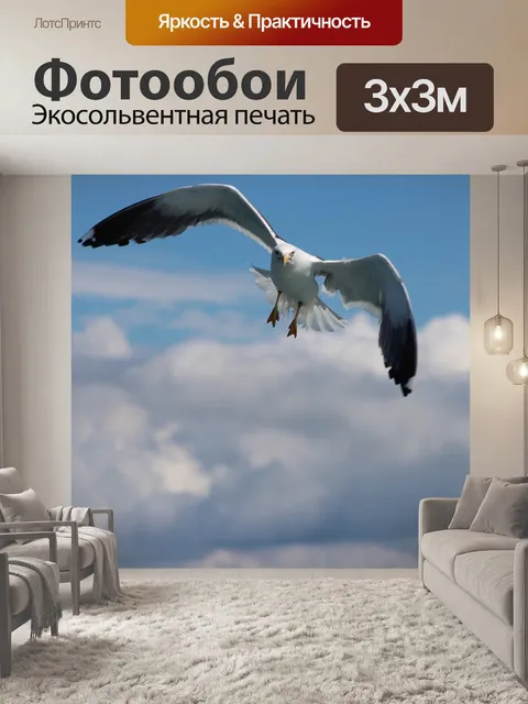 Фотообои Птица