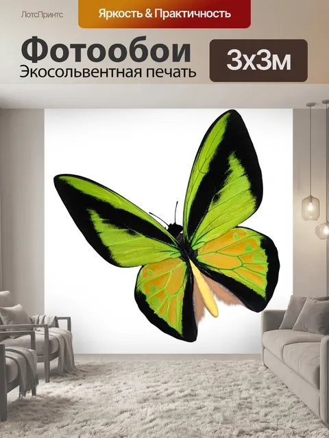 Фотообои Желтый Birdwing Бабочка