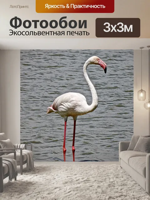 Фотообои Фламинго