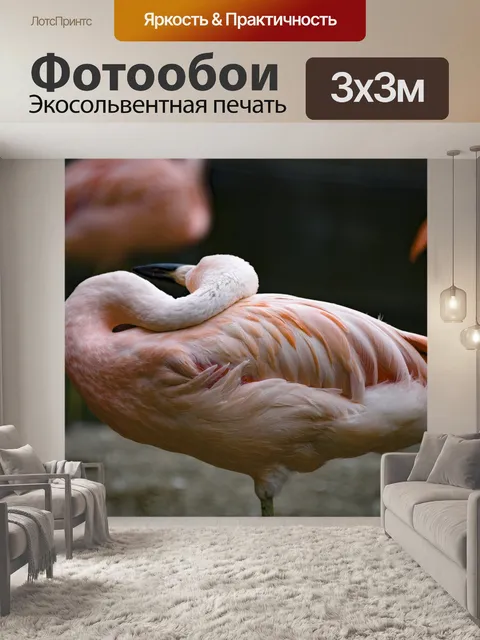 Фотообои Отдых в Фламинго