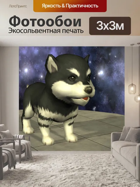 Фотообои собака маламута