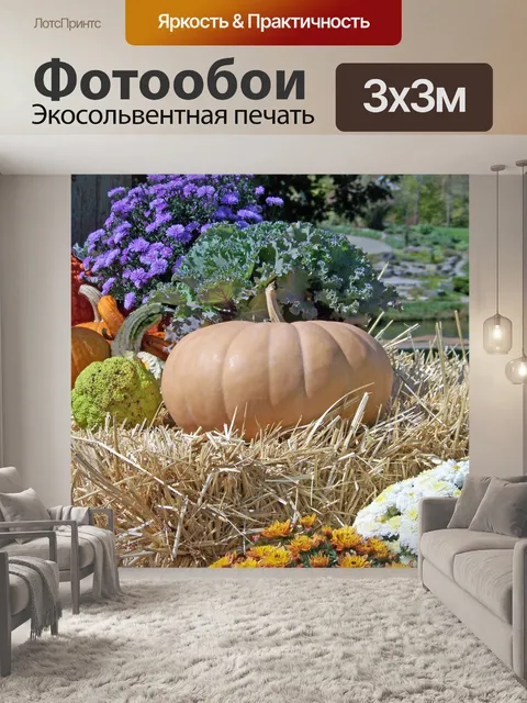 Фотообои Бледный тыквы