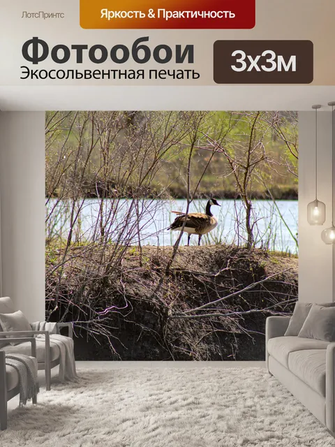 Фотообои Гусь