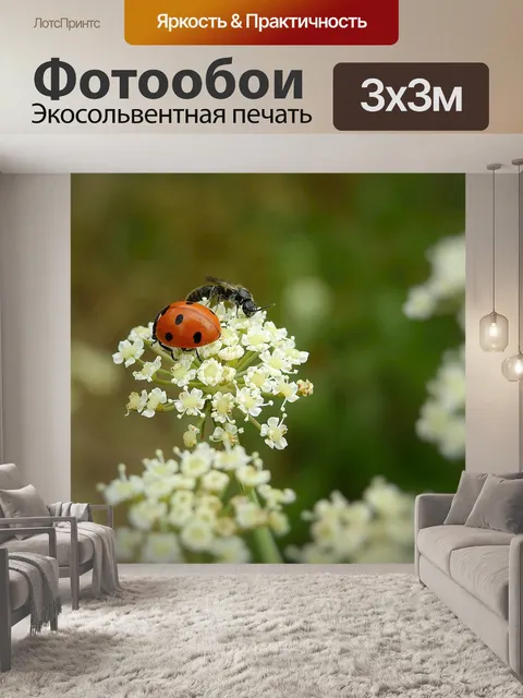 Фотообои Луг