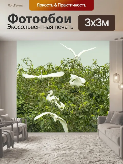 Фотообои Аисты и улитки