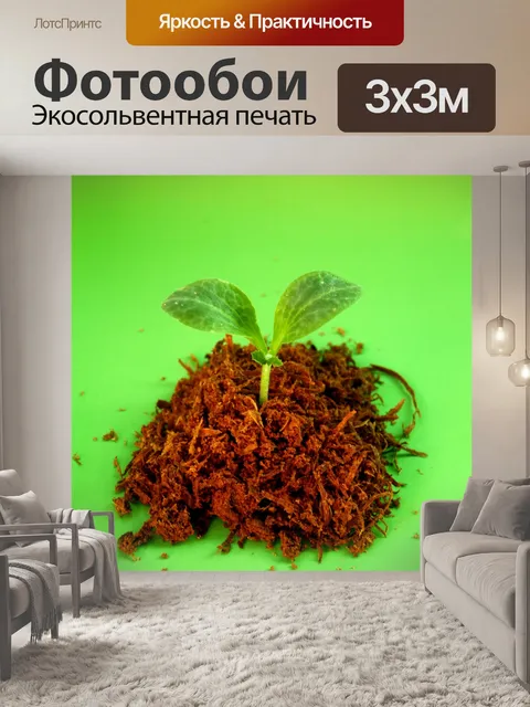 Фотообои Молодое дерево