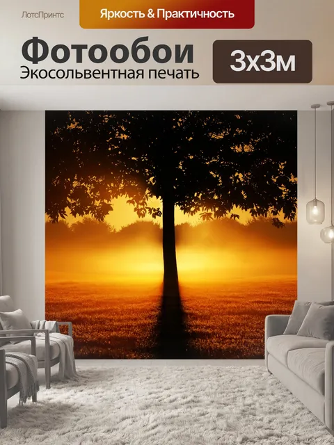 Фотообои Восход дерева силуэт природы