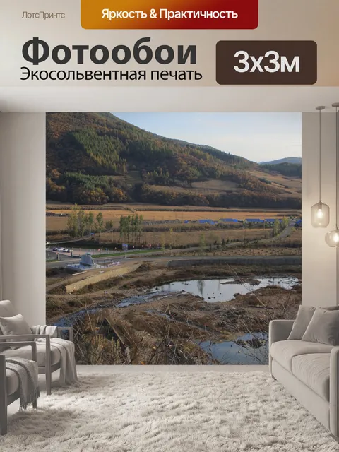 Фотообои Деревья