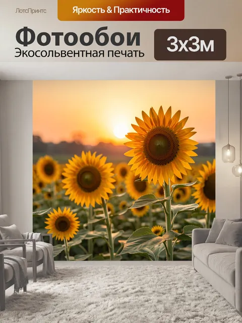 Фотообои Подсолнухи в поле на закате