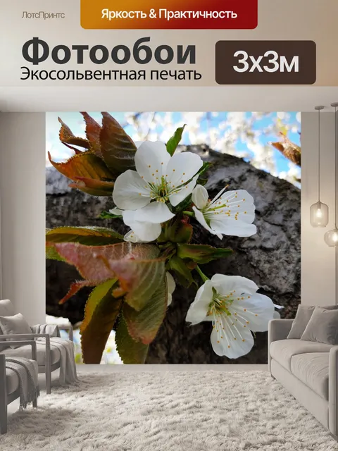 Фотообои Весна