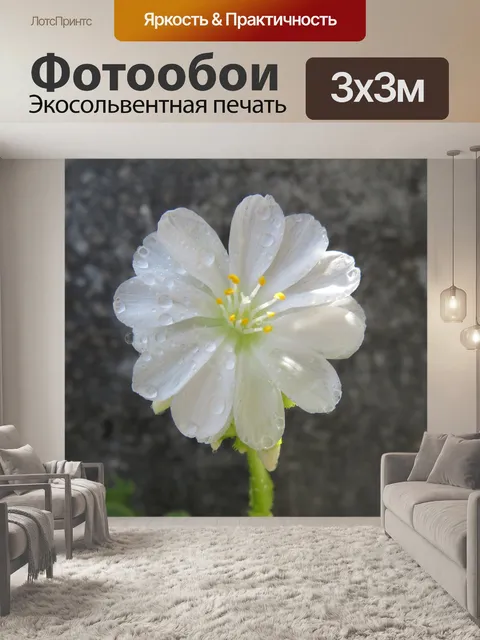 Фотообои Белый