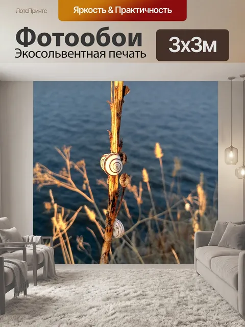 Фотообои Улитка
