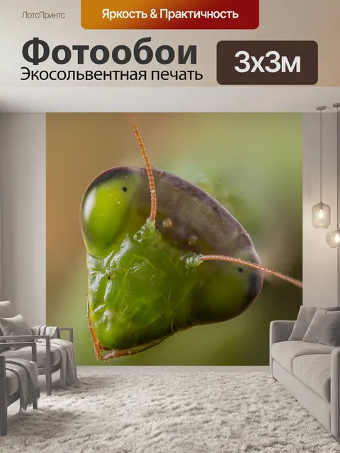 Фотообои Богомол