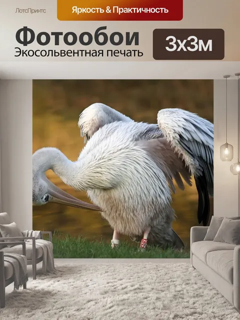 Фотообои Птица