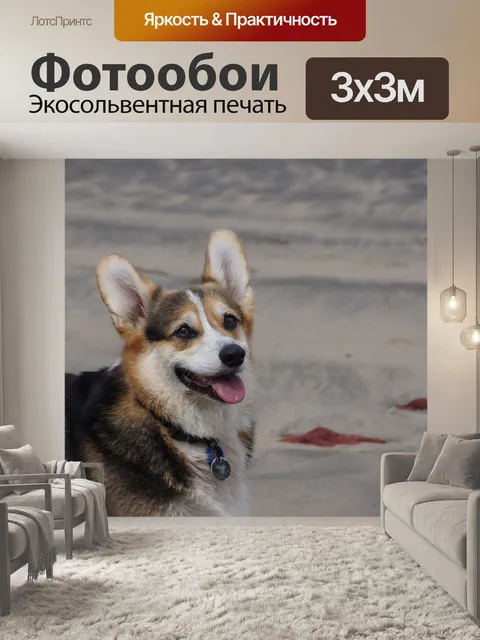 Фотообои Австралийский