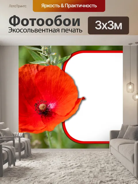 Фотообои Мак, красный цветок