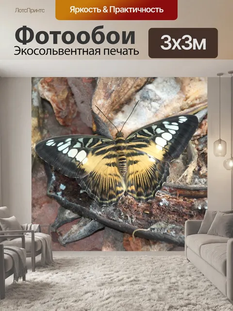 Фотообои Сад бабочек