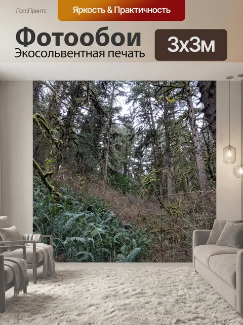 Фотообои Густой лес