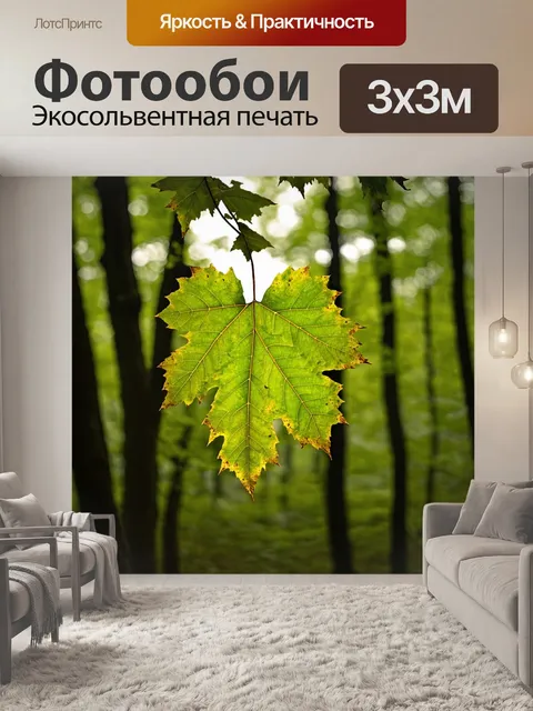 Фотообои листья деревьев в густом лесу