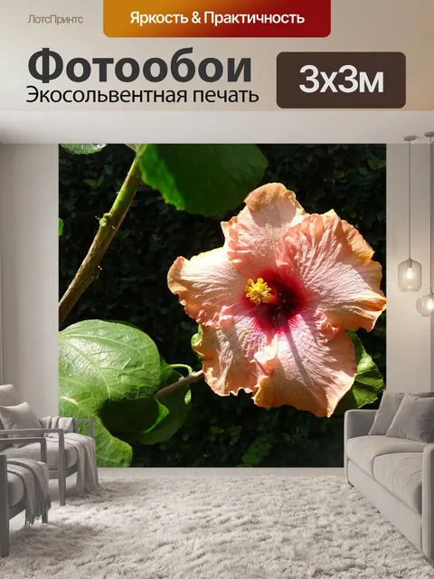 Фотообои Гибискус