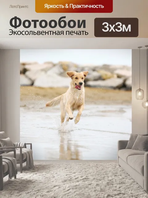 Фотообои Собака