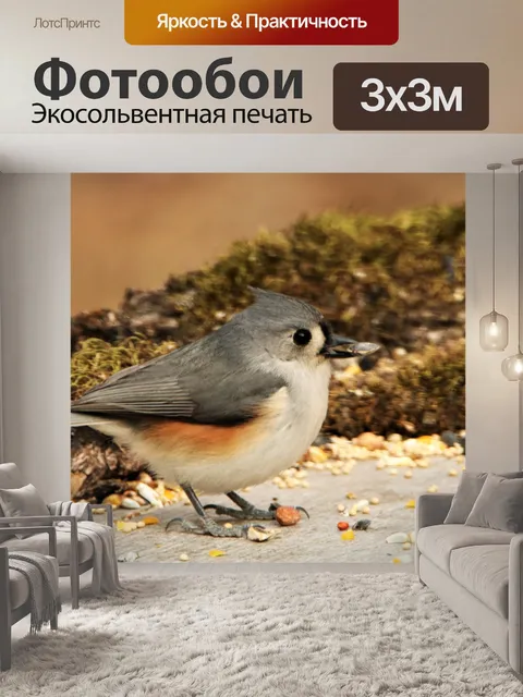 Фотообои Хохлатая синица на столе