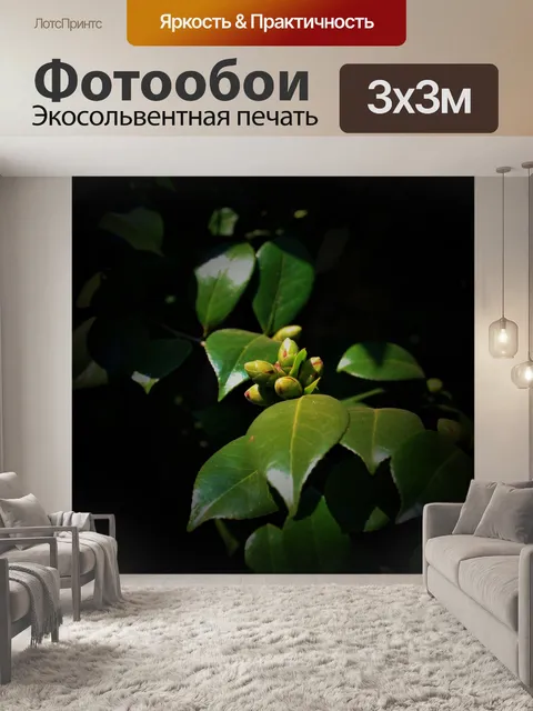 Фотообои бутоны японская