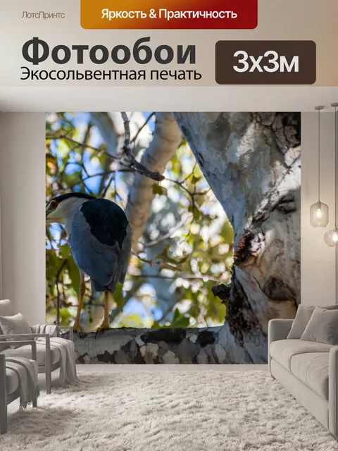 Фотообои Ночная цапля