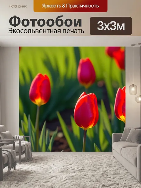 Фотообои тюльпаны в утреннем свете