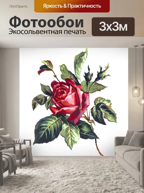 Фотообои Роза красная иллюстрация клипарт