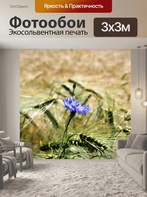 Фотообои Пшеничное поле