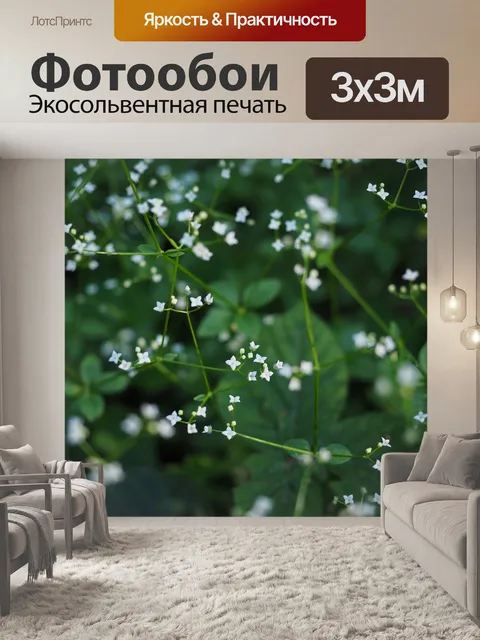 Фотообои Вокруг листьев подмаренника