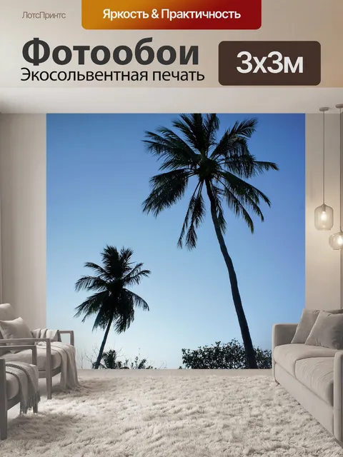 Фотообои Пальмы