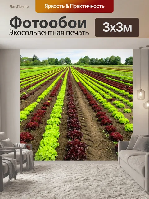 Фотообои Пейзаж
