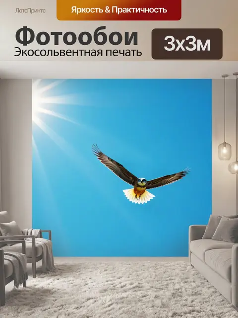 Фотообои птицы, летающие под солнечным небом