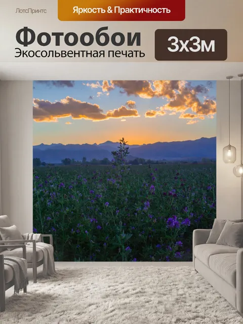 Фотообои Заход солнца