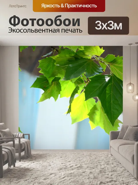 Фотообои Платана листьев (а)