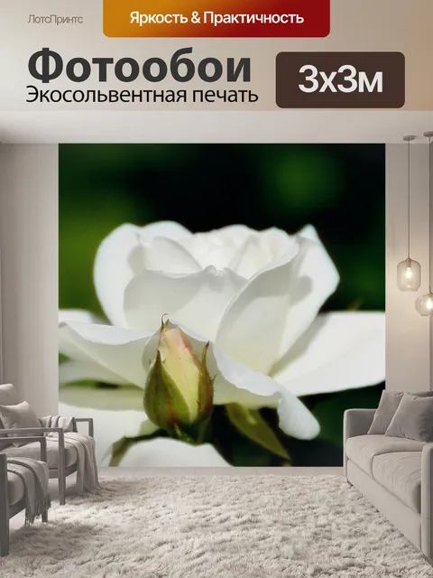 Фотообои Розовый