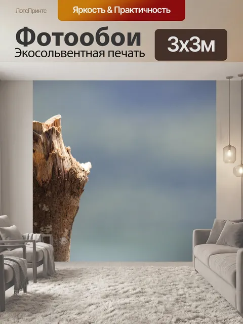 Фотообои журнал