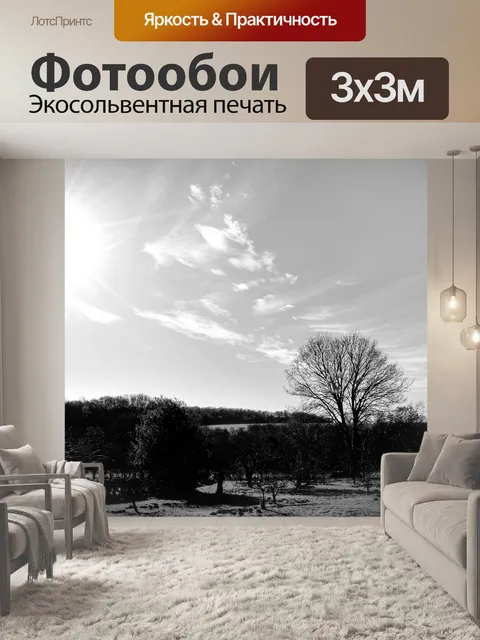 Фотообои Пейзаж - черный и белый
