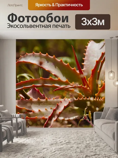 Фотообои Алоэ вера
