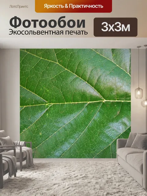 Фотообои прожилками зеленый лист
