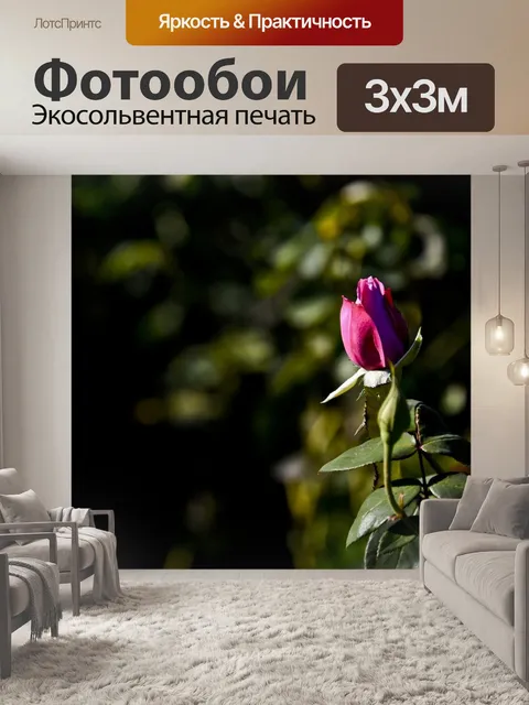 Фотообои Бутон розы