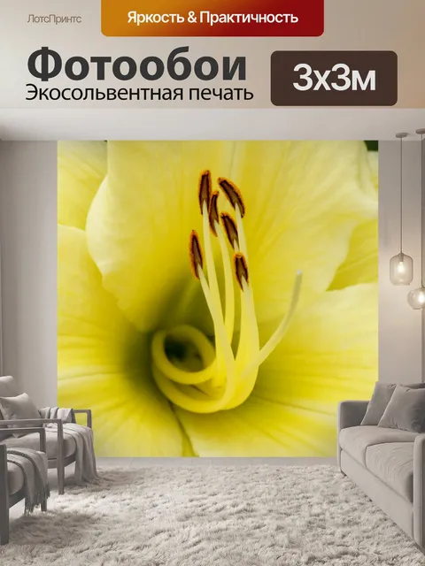 Фотообои Лили крупным планом